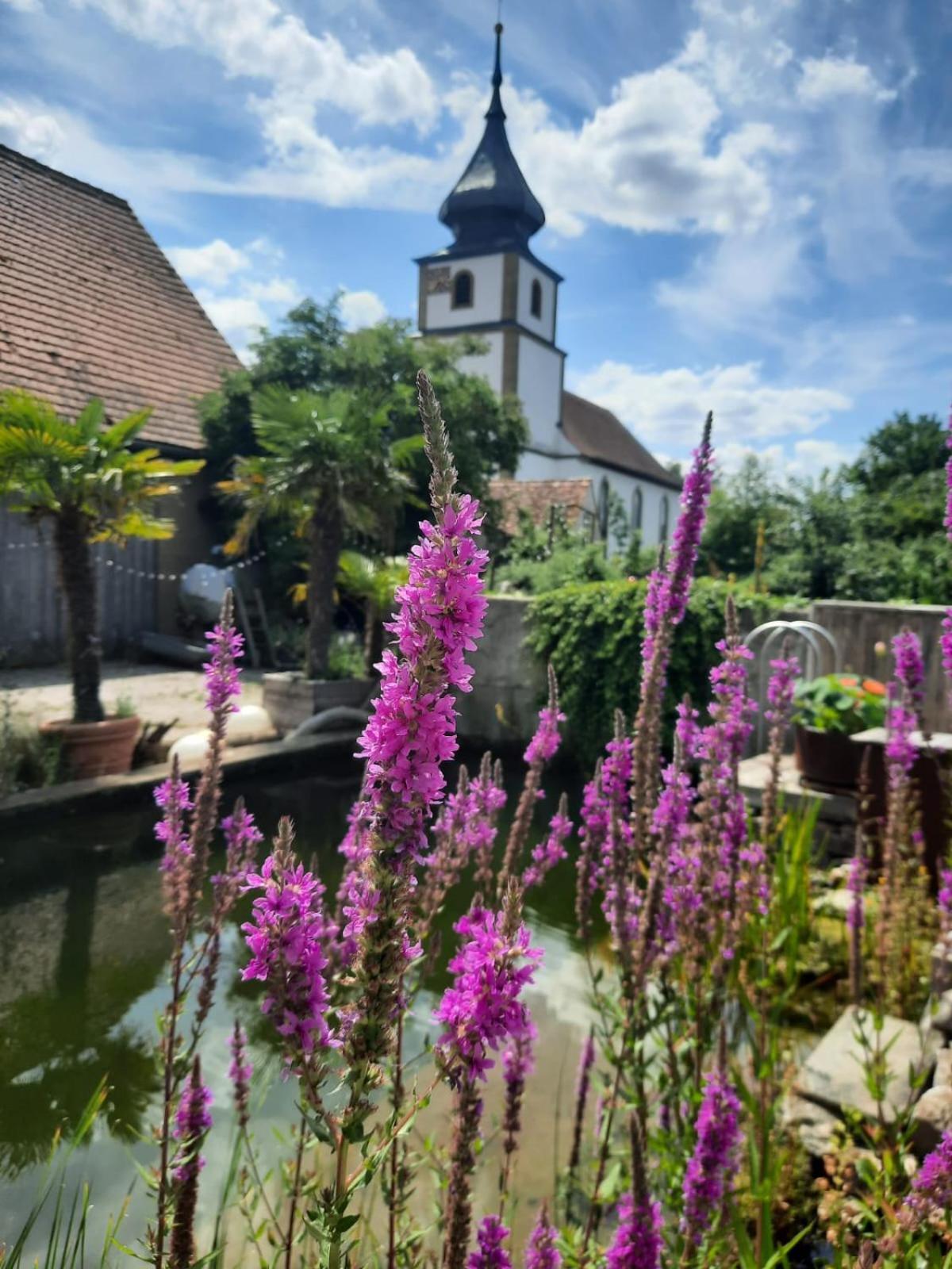 Spatzennest Und Rabennest Sugenheim Екстериор снимка